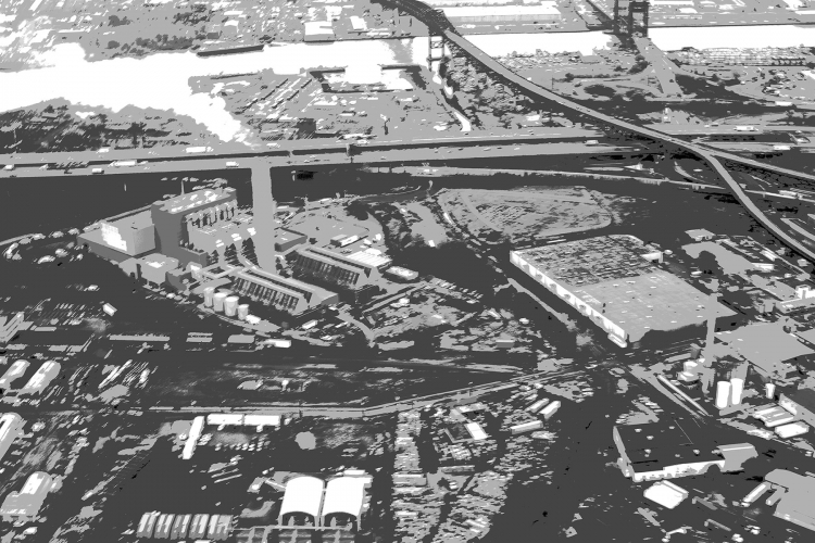 Duncan McLaren Photography