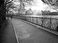 Duncan McLaren Photography