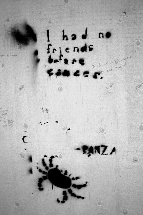 Duncan McLaren Photography