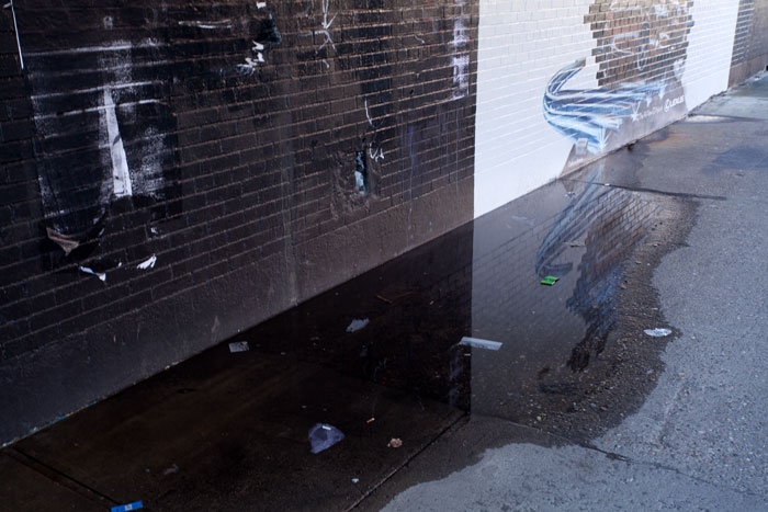 Duncan McLaren Photography